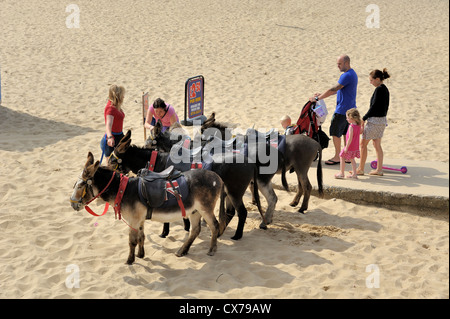 Donkey rides on Yarmouth beach Norfolk england uk Stock Photo