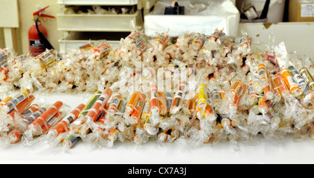 yarmouth rock factory with sticks of rock freshly packed and ready for sale england uk Stock Photo