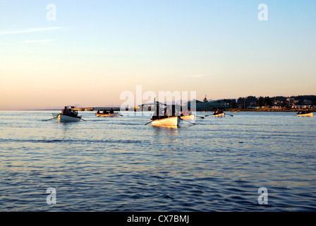 Guides and anglers rowing traditional rowboats to fish for chinook in Tyee Pool at mouth of Campbell River BC Canada at sunrise Stock Photo