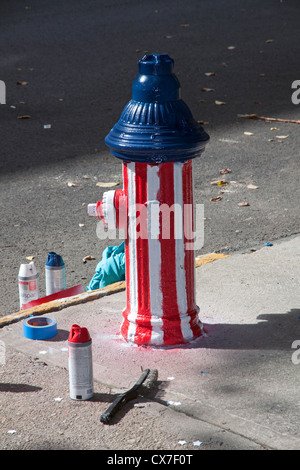 Freshly painted 'Red White & Blue' fire hydrant, Brooklyn, New York USA Stock Photo