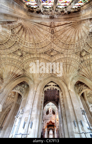 Fan vault in retrochoir, Peterborough Cathedral, Peterborough, Cambridgeshire, England, UK Stock Photo