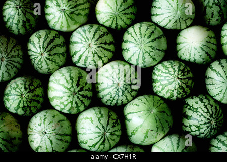 Closeup view of green watermelons in a market Stock Photo