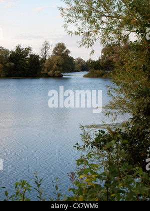 Paxton Pits Nature Reserve, Little Paxton, St Neots, Cambridgeshire, UK Stock Photo