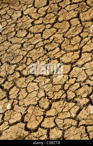 Environmental image depicting the damage caused by drought on earth - angled image Stock Photo