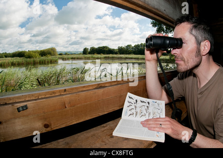 Birdwatcher peering through binoculars and using a bird identification book, from within a public hide, on a sunny morning