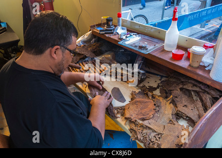 New York, NY, USA, Little Italy Area, Man Rolling Tobacco Cigars on Stall  on Mulberry Street Stock Photo