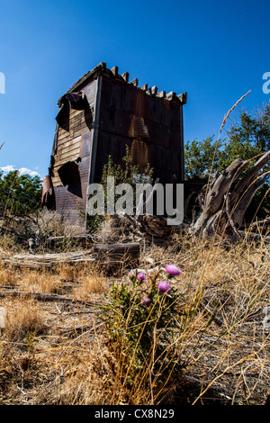 A dilapidated house and water tower at an old homestead in Reno Nevada Stock Photo