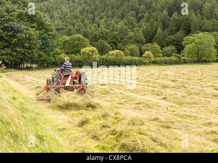 Antique tractor and threshing machine turns hay by Buttermere in English Lake District