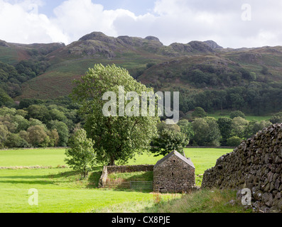 Ancient stone farm building and dry stone wall in English Lake District Stock Photo