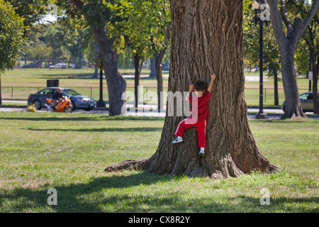Boy climbing a large tree trunk Stock Photo