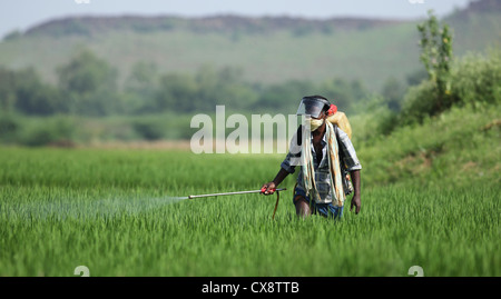 Indian farmer spraying pesticide Andhra Pradesh South India Stock Photo