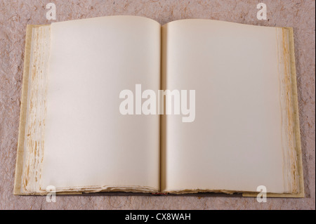 detail of open ancient book with two blank sheets Stock Photo