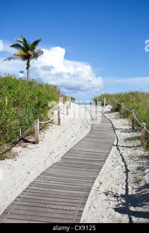 Boardwalk on beach path, Miami Beach, Florida, USA Stock Photo