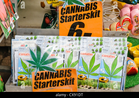 Marajuana seeds for sale in Amsterdam Flower Market Stock Photo