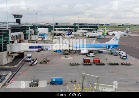 Air France KLM planes on the apron of Amsterdam Schiphol Airport with service vehicles Stock Photo