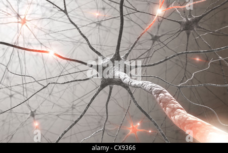Inside the brain. Concept of neurons and nervous system Stock Photo - Alamy
