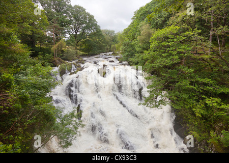 Swallow Falls, waterfall, Betws-y-Coed in Snowdonia, North Wales. UK Stock Photo