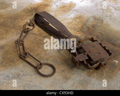 gin trap illegal capture device Stock Photo