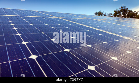 Solar panels erected in a field Stock Photo