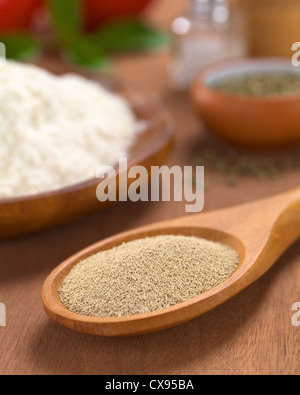 Basic ingredients of a pizza: Active dry yeast on wooden spoon with oregano, flour, salt, pepper, tomato and basil in the back Stock Photo