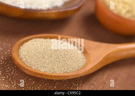 Baking ingredients: Active dry yeast on wooden spoon with oregano and flour in the back Stock Photo