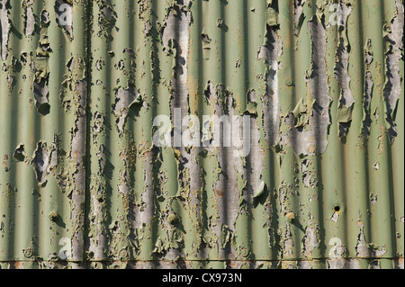 peeling paint on painted galvanized corrugated warehouse with reinforced broken windows behind protective steel mesh Stock Photo