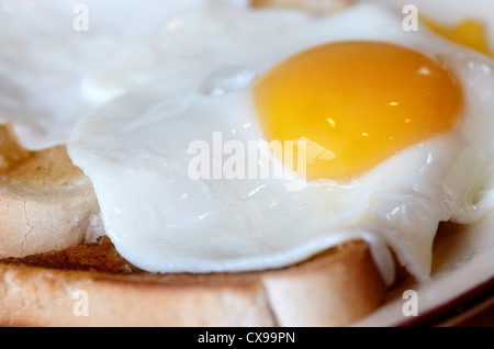 Fried Egg on Toast. Stock Photo
