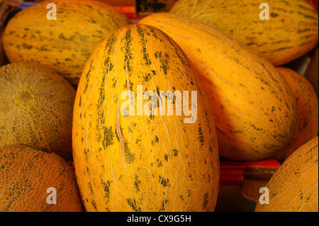 Closeup of yellow Chinese hami melons, Chinatown, Vancouver, British Columbia, Canada