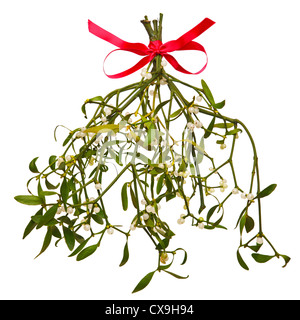 Bunch of mistletoe isolated on a white studio background Stock Photo ...