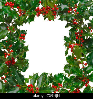 Photo of fresh holly with red berries arranged in a square frame and isolated on a white background. Stock Photo
