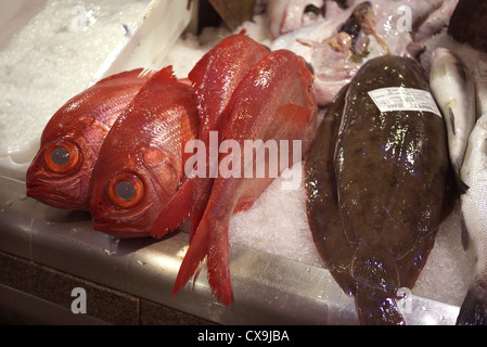 Fish for sale at a market in Spain. Stock Photo