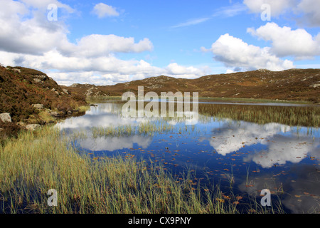 View North from the West side of Dock Tarn near Watendlath in the Lake District, Cumbria, England, United Kingdom. Stock Photo