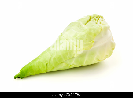 Pointed cabbage, also called sweetheart cabbage, isolated on white background Stock Photo