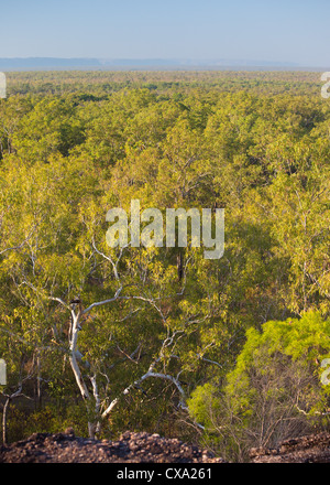 View of the forest surrounding Nourlangie Rock, Kakadu National Park, Northern Territory Stock Photo