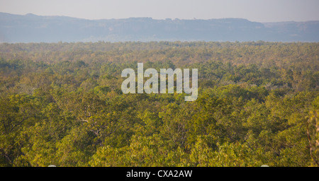 View of the forest surrounding Nourlangie Rock, Kakadu National Park, Northern Territory Stock Photo