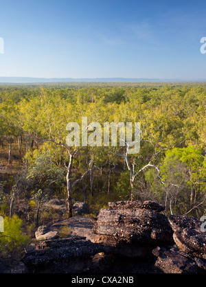 View of the forest surrounding Nourlangie Rock, Kakadu National Park, Northern Territory Stock Photo