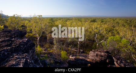 View of the forest surrounding Nourlangie Rock, Kakadu National Park, Northern Territory Stock Photo