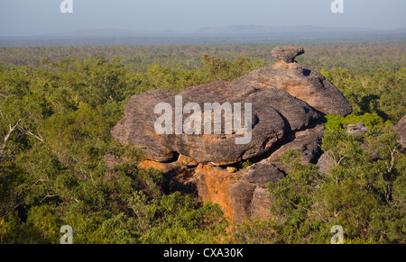 View of the forest surrounding Nourlangie Rock, Kakadu National Park, Northern Territory Stock Photo