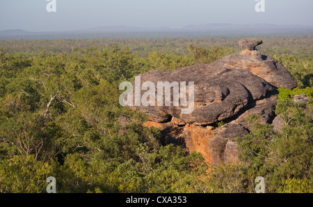 View of the forest surrounding Nourlangie Rock, Kakadu National Park, Northern Territory Stock Photo