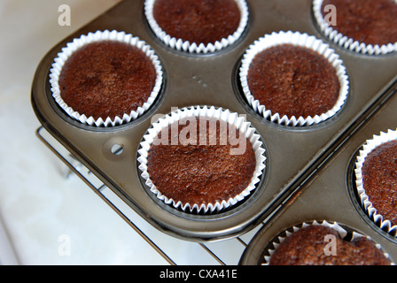 Chocolate cupcakes cooling in the tin Stock Photo