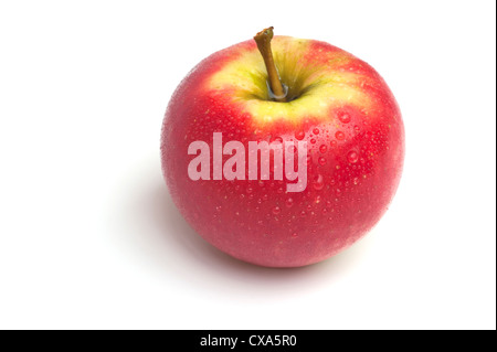 Elstar Stock Photo