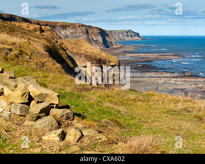 View looking north on the cliffs between Robin Hood's Bay and Whitby part of the Cleveland Way on the North Yorkshire coast UK Stock Photo