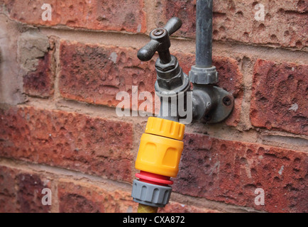 Outdoor Tap or Faucet with Hose Attachment, UK Stock Photo