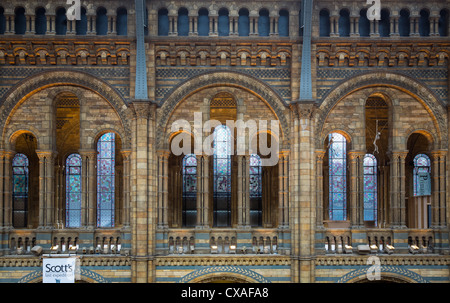 The Natural History Museum is on Exhibition Road, South Kensington, London, England Stock Photo