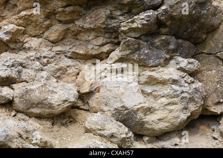 Silurian limestone in a quarry on Wenlock Edge, showing a reef formation. Shropshire, England. Stock Photo