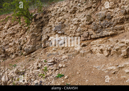 Silurian limestone in a quarry on Wenlock Edge, showing bedding. Shropshire, England. Stock Photo