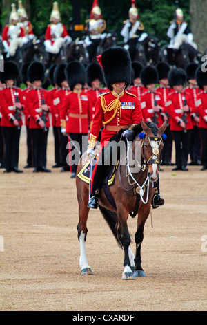 Soldiers at Trooping the Colour 2012, The Queen's Birthday Parade, Horse Guards, Whitehall, London, England, United Kingdom Stock Photo