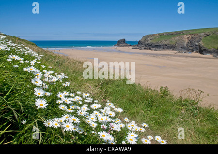 Picturesque Porthcothan beach on the north Cornwall coast Stock Photo