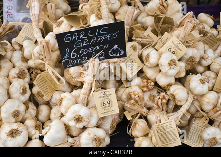 Garlic bulbs from The Garlic Farm Isle of Wight for sale on stall at Abergavenny Food Festival Stock Photo