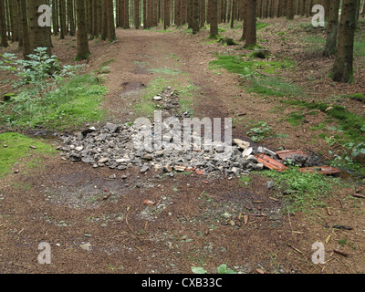 demolition waste disposal in the wood / Bauschuttentsorgung im Wald Stock Photo
